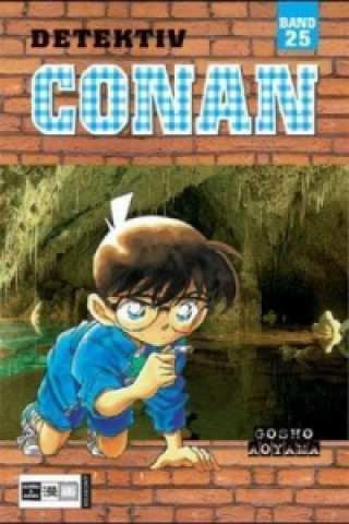Kniha Detektiv Conan. Bd.25 Gosho Aoyama