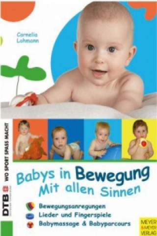 Könyv Babys in Bewegung - Mit allen Sinnen Cornelia Lohmann