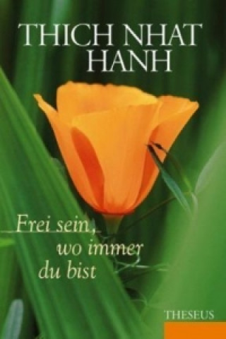 Book Frei sein, wo immer du bist hich Nhat Hanh