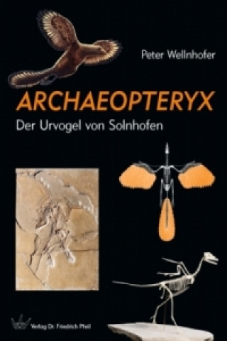 Carte Archaeopteryx Peter Wellnhofer
