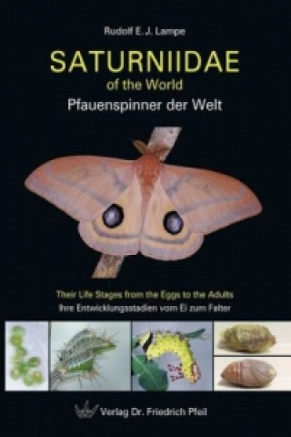Книга Saturniidae of the World. Pfauenspinner der Welt Rudolf E. J. Lampe
