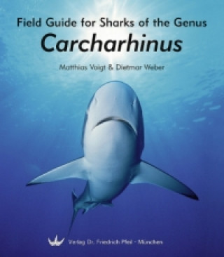 Könyv Field Guide for Sharks of the Genus Carcharhinus Matthias Voigt
