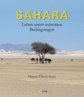 Carte Sahara Hanns Ulrich Seitz