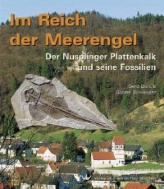 Kniha Im Reich der Meerengel Gerd Dietl