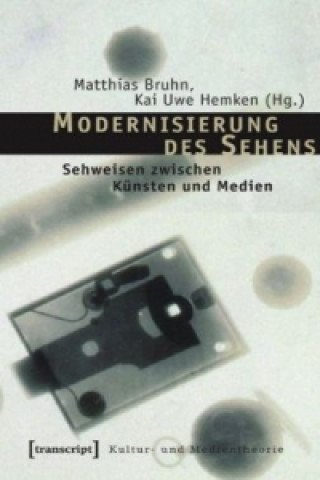Kniha Modernisierung des Sehens Matthias Bruhn