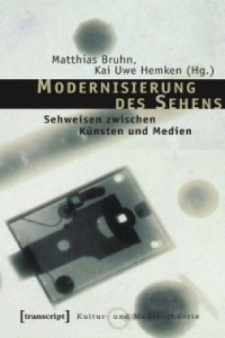 Libro Modernisierung des Sehens Matthias Bruhn