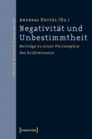 Könyv Negativität und Unbestimmtheit Andreas Hetzel