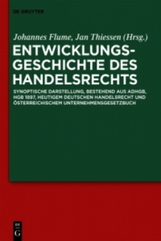 Könyv Entwicklungsgeschichte des Handelsrechts Johannes W. Flume