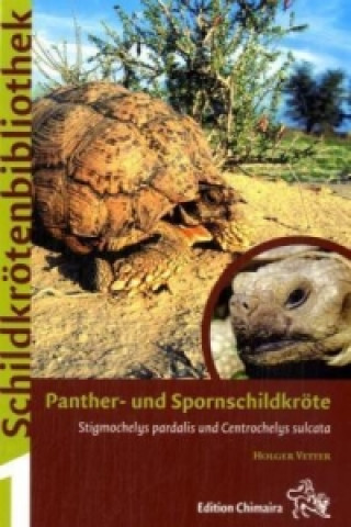 Kniha Panther- und Spornschildkröte Holger Vetter