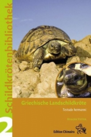 Kniha Griechische Landschildkröte Holger Vetter