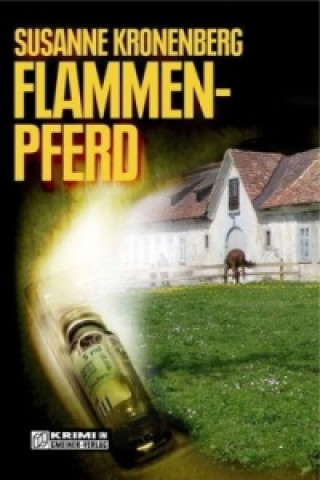 Buch Flammenpferd Susanne Kronenberg