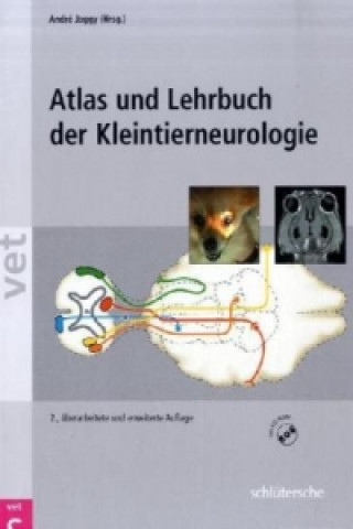 Kniha Atlas und Lehrbuch der Kleintierneurologie, m. CD-ROM André Jaggy