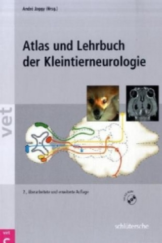 Książka Atlas und Lehrbuch der Kleintierneurologie, m. CD-ROM André Jaggy