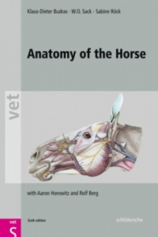 Kniha Anatomy of the Horse Klaus-Dieter Budras