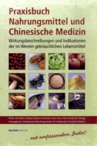Kniha Praxisbuch Nahrungsmittel und Chinesische Medizin Ulrike von Blarer Zalokar
