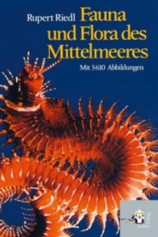 Kniha Fauna und Flora des Mittelmeeres Rupert Riedl