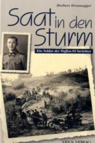 Carte Saat in den Sturm Herbert Brunnegger