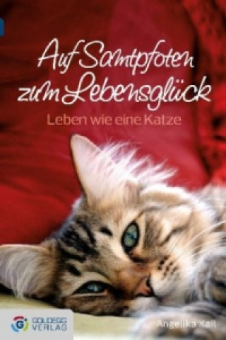 Könyv Auf Samtpfoten zum Lebensglück - Taschenbuchausgabe Angelika Kail