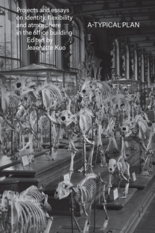 Knjiga Typical Plan - Projects and Essays on Identity, Flexibility and Atmosphere in the Office Building Jeannette Kuo