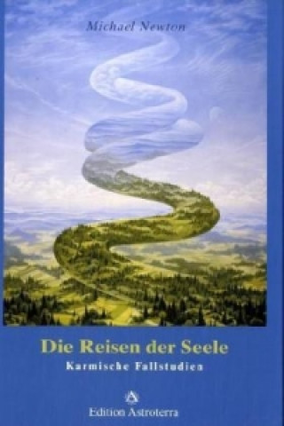 Kniha Die Reisen der Seele Michael Newton