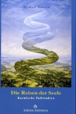 Knjiga Die Reisen der Seele Michael Newton