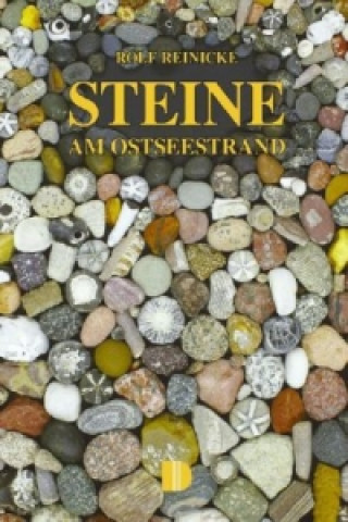 Kniha Steine am Ostseestrand Rolf Reinicke