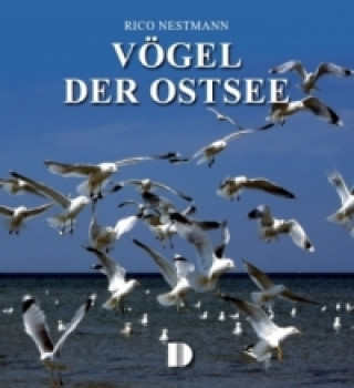 Buch Vögel der Ostsee Rico Nestmann