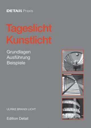 Kniha Tageslicht Kunstlicht Ulrike Brandi