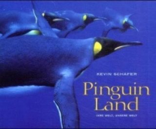 Kniha Pinguin Land Kevin Schafer