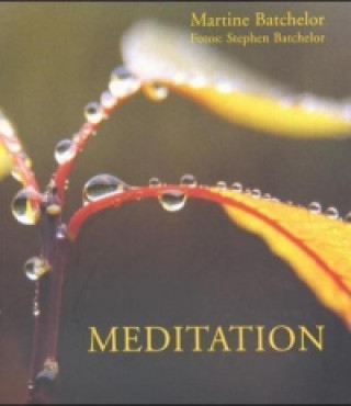 Kniha Meditation Martine Batchelor