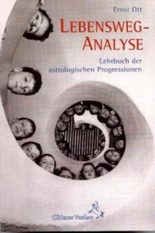 Könyv Lebensweg-Analyse Ernst Ott