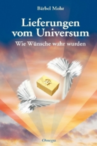 Kniha Lieferungen vom Universum Bärbel Mohr