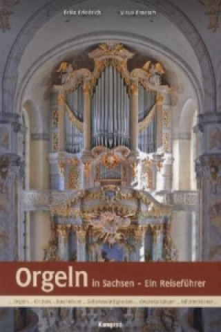 Kniha Orgeln in Sachsen Felix Friedrich