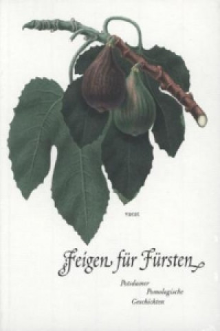 Kniha Feigen für Fürsten Marina Heilmeyer