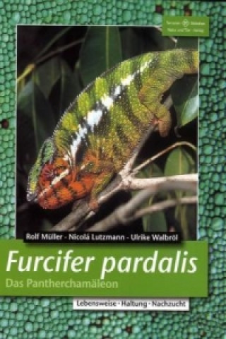 Kniha Furcifer pardalis Rolf Müller