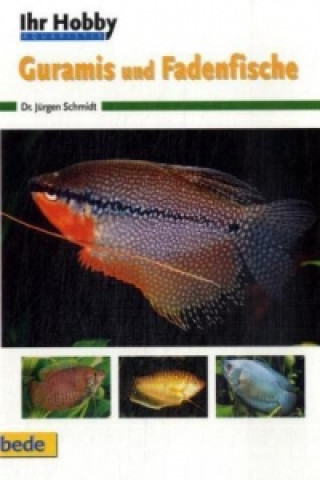 Könyv Ihr Hobby Guramis und Fadenfische Jürgen Schmidt