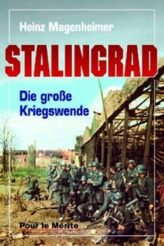 Kniha Stalingrad Heinz Magenheimer