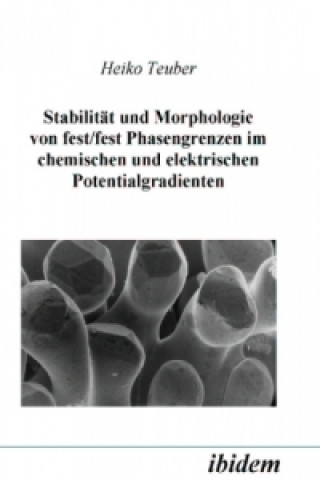 Könyv Stabilität und Morphologie von Fest/fest Phasengrenzen im chemischen und elektrischen Potentialgradienten Heiko Teuber