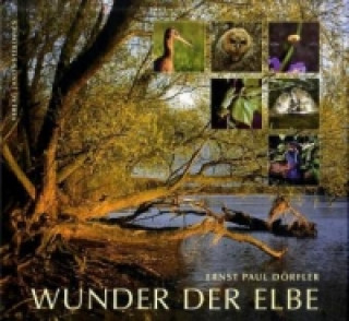 Kniha Wunder der Elbe Ernst P. Dörfler