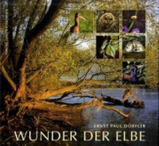 Buch Wunder der Elbe Ernst P. Dörfler