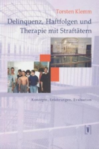 Könyv Delinquenz, Haftfolgen und Therapie mit Straftätern Torsten Klemm