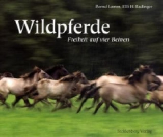 Kniha Dülmener Wildpferde Bernd Lamm