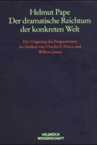 Könyv Der dramatische Reichtum der konkreten Welt Helmut Pape