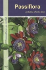 Carte Passiflora Bettina Ulmer