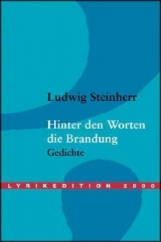 Kniha Hinter den Worten die Brandung Ludwig Steinherr