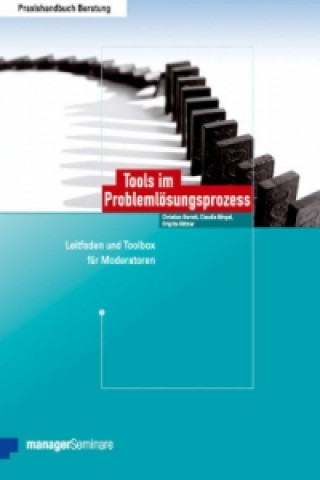 Kniha Tools im Problemlösungsprozess Christian Berndt