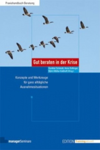 Knjiga Gut beraten in der Krise Gunther Schmidt