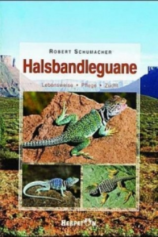 Kniha Halsbandleguane Robert Schumacher