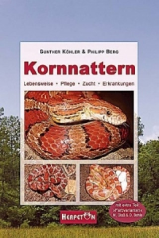 Buch Kornnattern Günther Köhler