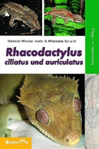 Könyv Rhacodactylus ciliatus und auriculatus Friedrich-Wilhelm Henkel